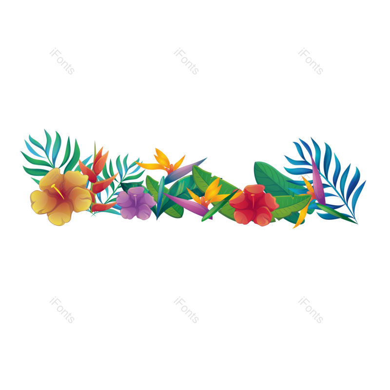 花朵图片,鲜花元素,春季PNG,春天免抠素材